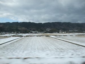20110104212920.jpg