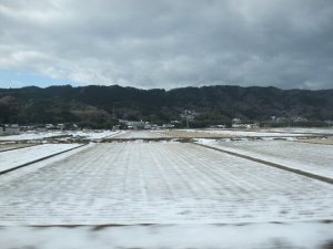 20110104212920.jpg