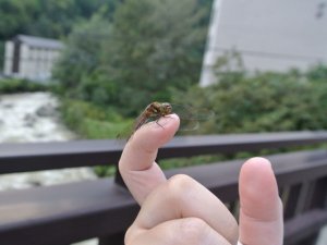 20120924204524.jpg