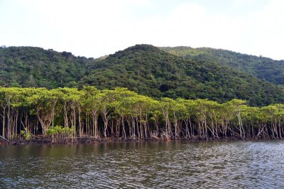 20160725201127.jpg